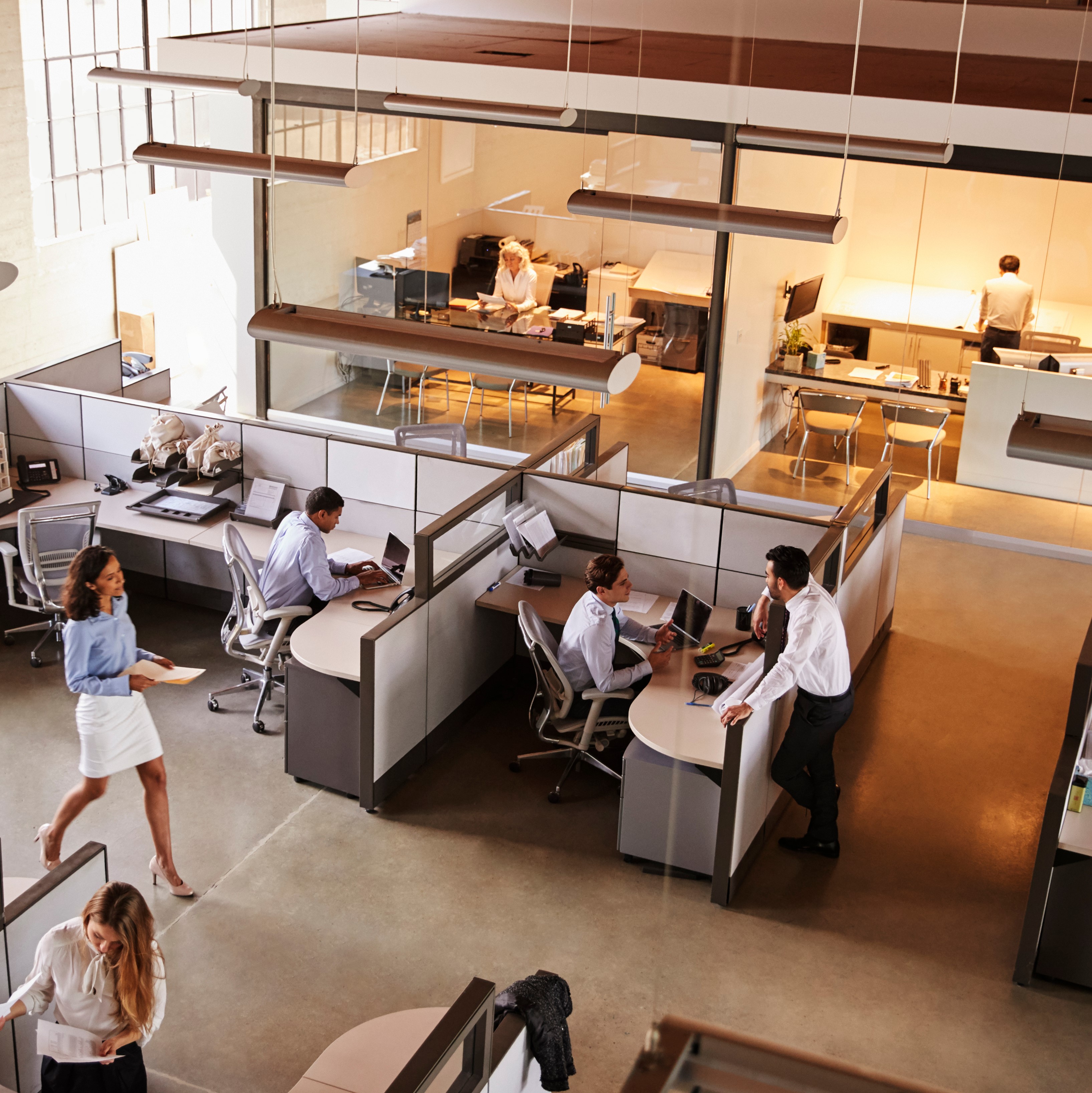 standard office with lighting