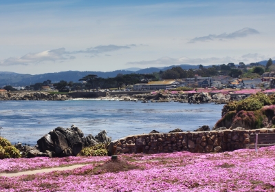 image of coastline of Pacific Grove, CA
