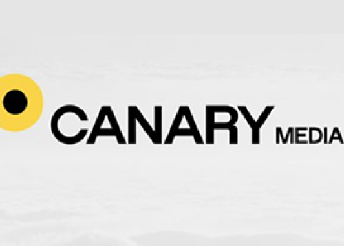 canary