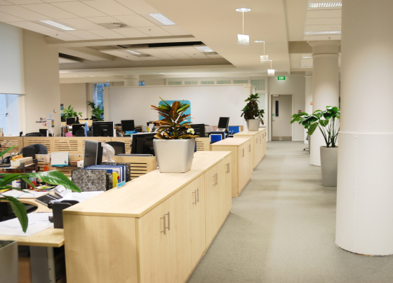 office