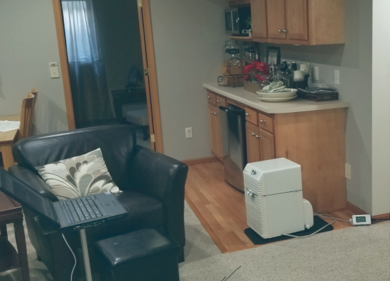 dehumidifier in basement